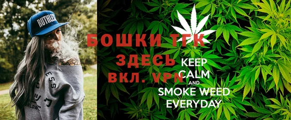 дурь Коряжма