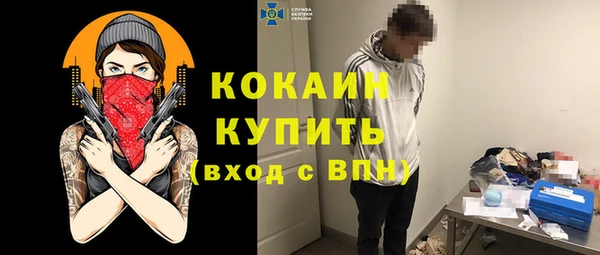 дмт Кодинск