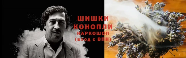 spice Козловка