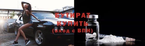 крисы Корсаков