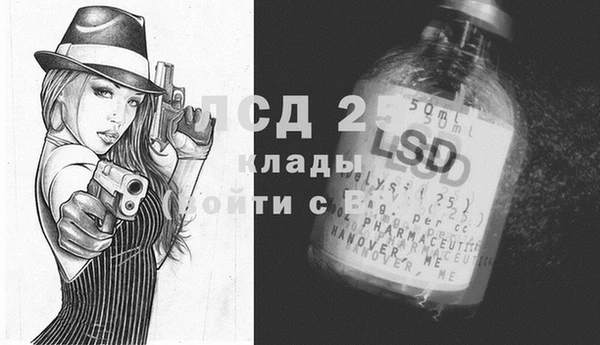 дмт Кодинск