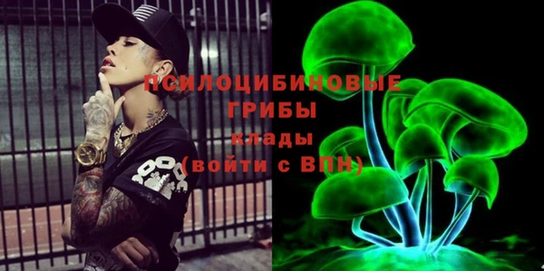 spice Козловка